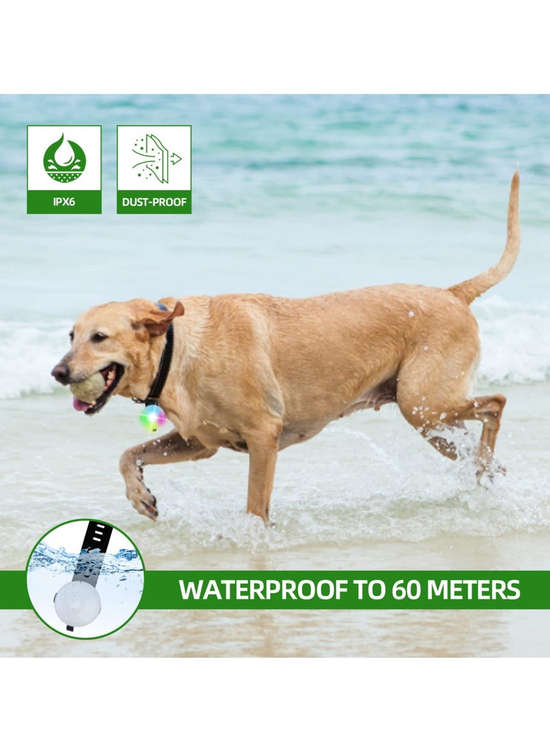 SYOSI 2 Pcs Dog Collar Lights, Led Light for Dog Collar Rechargeable Waterproof Safety Light IPX6 Waterproof & 4 Modes Light for Pet Pup Large Dogs for Night Walking (Black & Green) - Image 5