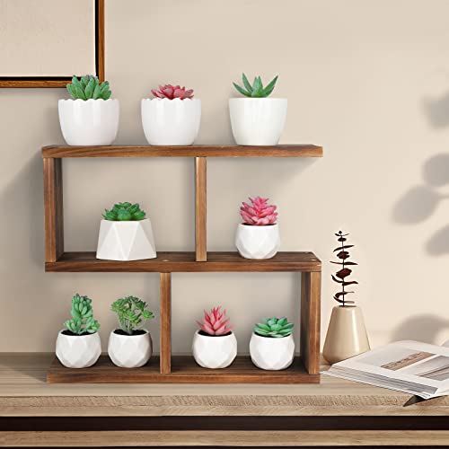 Jotsport Window Sill Plant Stand Small Wood Plant Shelf for Succulents 3 Tier Tabletop Desktop Plant Dislay Rack - Image 4