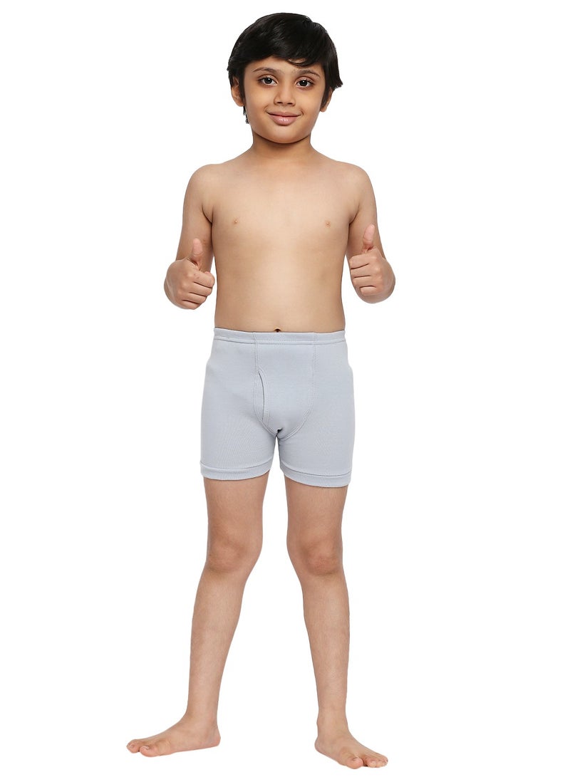 BYC BOY'S COTTON BOXER SHORT BRIEF (PACK OF 3) - LIGHT GREY - Image 2