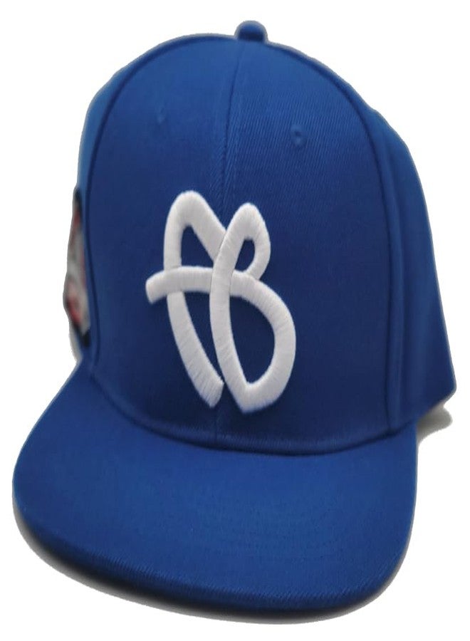 FUBU New 30th Anniversary Limited Edition Logo Royal Blue White Era Snapback Hat Cap - Image 2