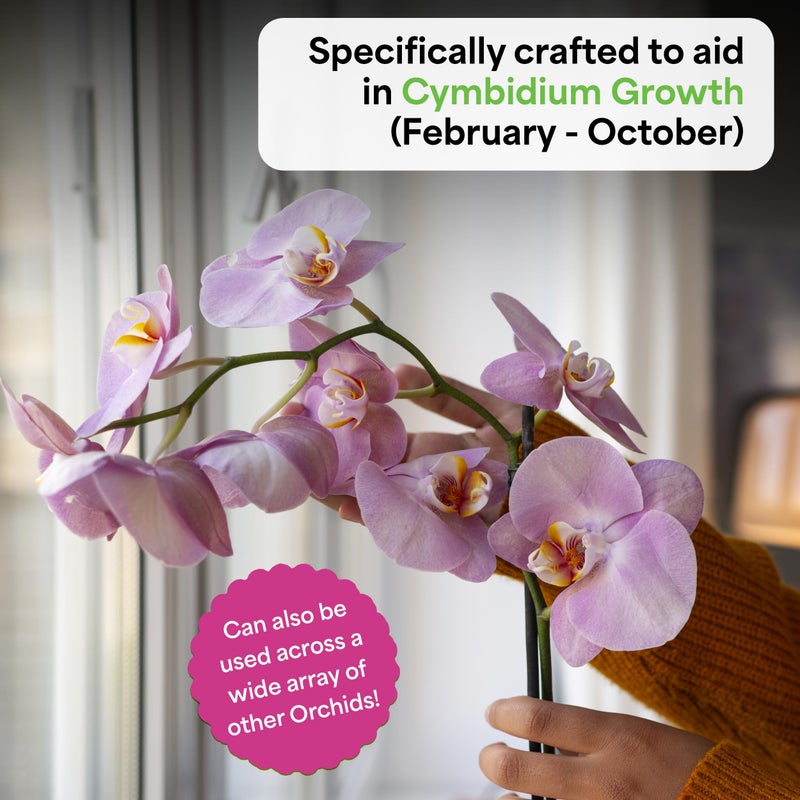 Grow More Premium Growth Formula 30-10-10 Orchid Food Fertilizer - 15oz Water Soluble Orchid Fertilizer for Robust Growth & Vibrant Blooms - High Nitrogen Fertilizer Orchid Plant Food - Image 3