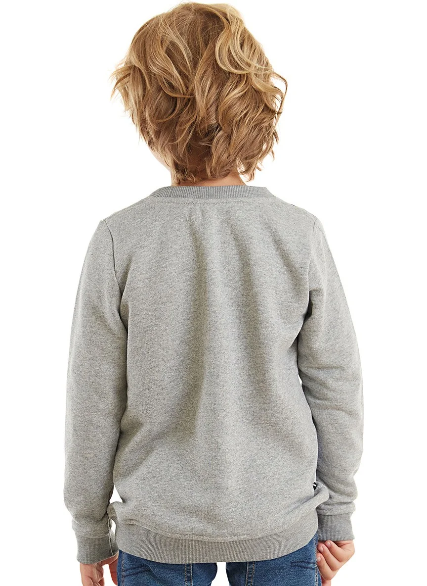 Denokids Cute Cars Boys Sweatshirt
