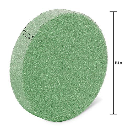 FloraCraft FloraFōM Disc 1.25 Inch x 5.8 Inch Green - Image 2