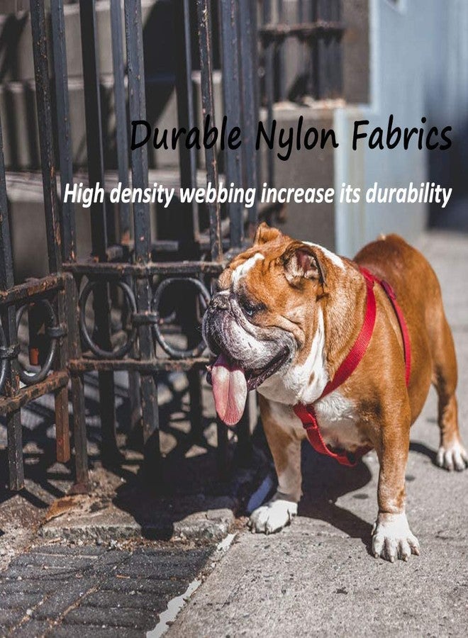Pups&Pets Durable 15MM Nylon Reflective Leash with 0.5 Inch Adjustable Nylon Harness Set Ideal for Outdoor Walking Small & Medium Dogs - Image 2