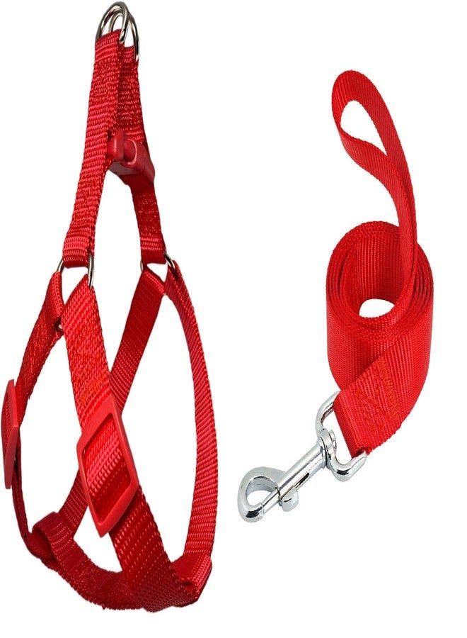 Pups&Pets Durable 15MM Nylon Reflective Leash with 0.5 Inch Adjustable Nylon Harness Set Ideal for Outdoor Walking Small & Medium Dogs - Image 1