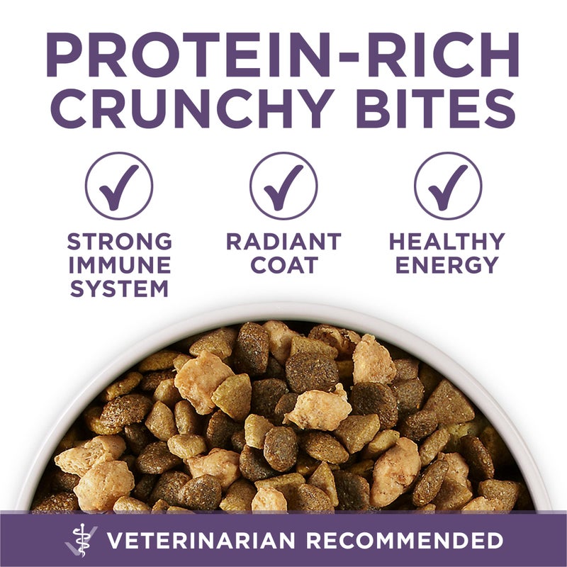 Purina ONE High Protein Dry Senior Dog Food Plus Vibrant Maturity Adult 7 Plus Formula - 8 lb. Bag - Image 2