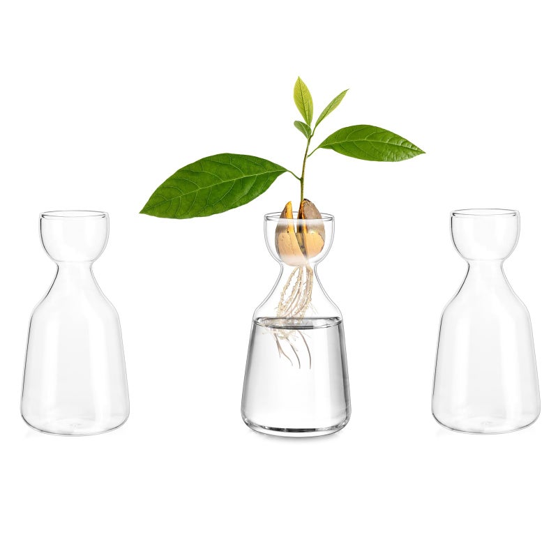 Glasseam Glass Avocado Vase Acorn Vase for Bulb Growing Set of 3 Clear Small Bud Vases for Home Decor Hydroponic Plant Propagation Jar for Flowers Stems Clippings