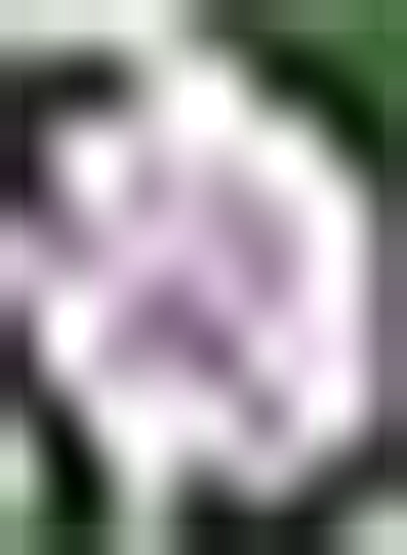 جي جوت 100 قطعة من بذور الكوزموس للزراعة في الداخل أو الخارج، زهور الحديقة استعد لعرض مذهل استمتع بجمال الطبيعة - Image 1