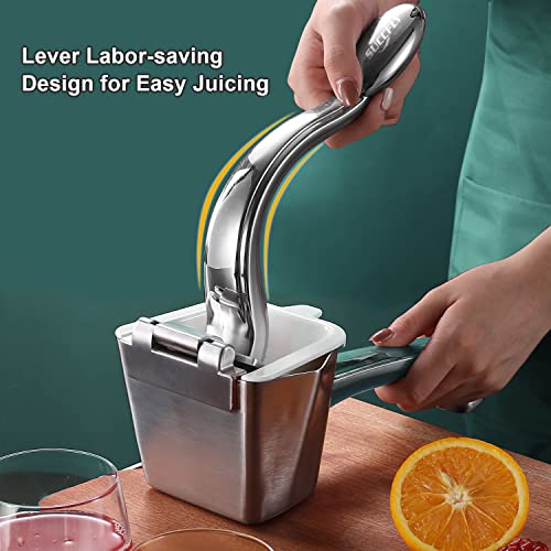 SUCCFLY Lemon Squeezer Stainless Steel, Manual Juicer Citrus Lime Orange Fruit Squeezer Heavy Duty Ergonomic Handle Labor-saving Large Capacity Juice Press Hand Handheld Juicer (5 Year Warranty) - Image 3