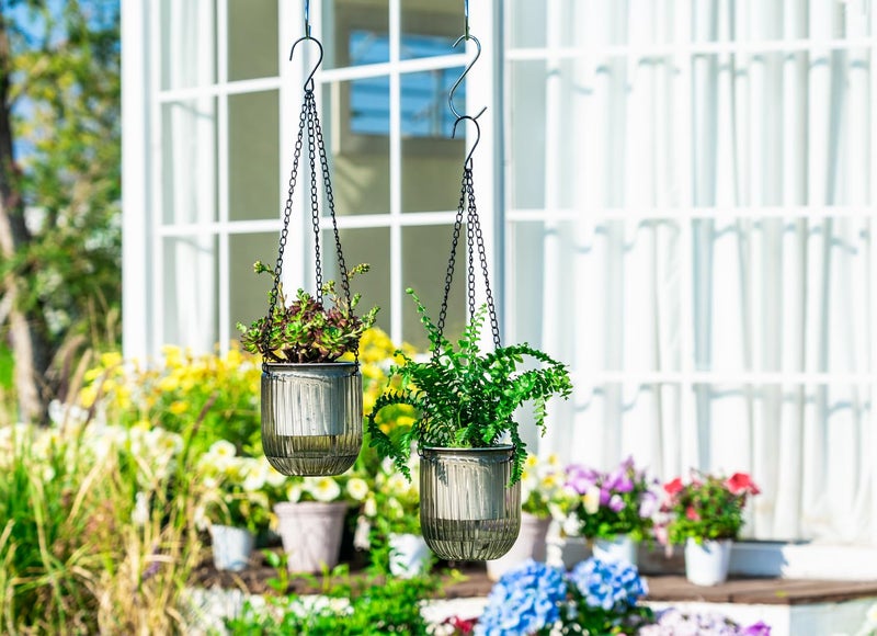 Josteve 4.5 Inch 2 Pcs Self Watering Hanging Planter Indoor Plant Pots Drainage Holes, Outdoor Small Hanging Planters Flower Pot Basket, Visible Water Level, Plant Hanger Home Decor, Gardening - Image 2