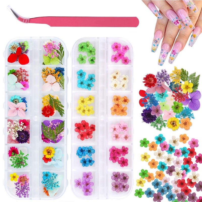Kissbuty 2 Boxes Dried Flowers for Nail Art, KISSBUTY 24 Colors Dry Flowers Mini Real Natural Flowers Nail Art Supplies 3D Applique Nail Decoration Sticker for Tips Manicure Decor (Daffodil Hydrangea Daisy) - Image 1