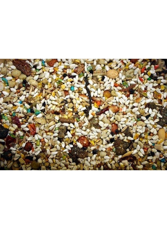 ABBA 1300 Large Hookbill Bird Food 5Lbs  - Image 3