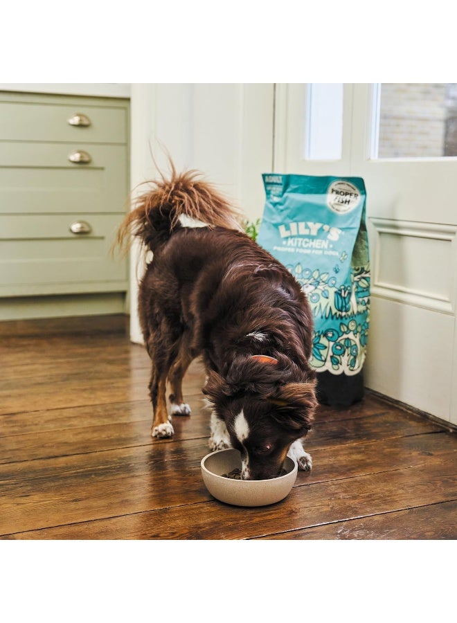 Lily's Kitchen Salmon Supper Adult Dog Dry Food - 1KG - Image 5