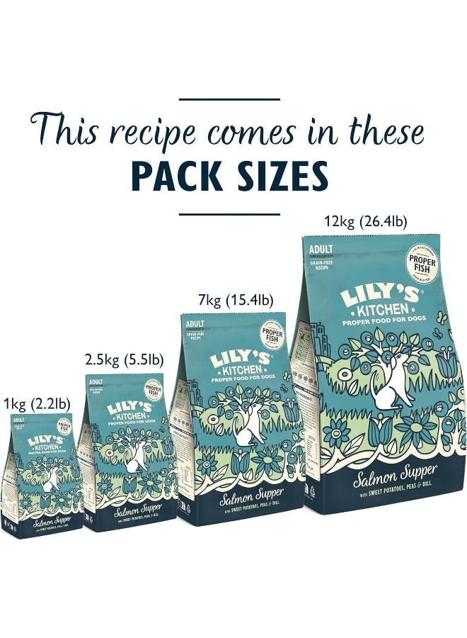 Lily's Kitchen Salmon Supper Adult Dog Dry Food - 1KG - Image 4
