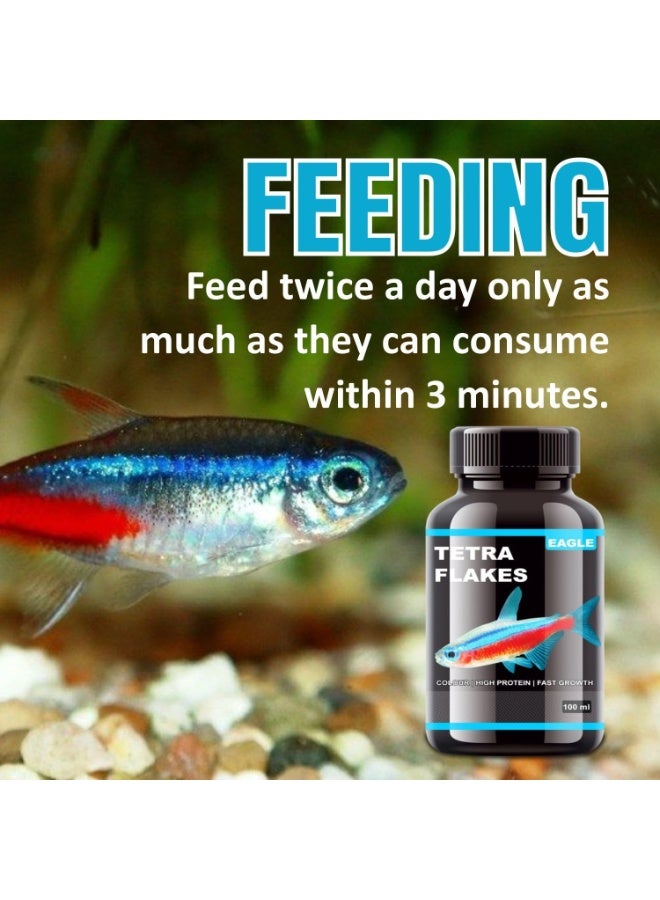 Horizon Eagle Tetra Flakes - 100ml - Image 2