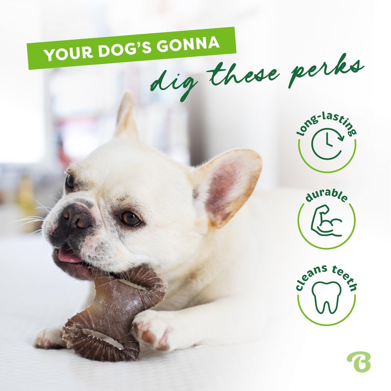 Benebone Tiny 2-Pack Dog Chew Toys, Made in USA, Real Bacon Flavor - Image 3