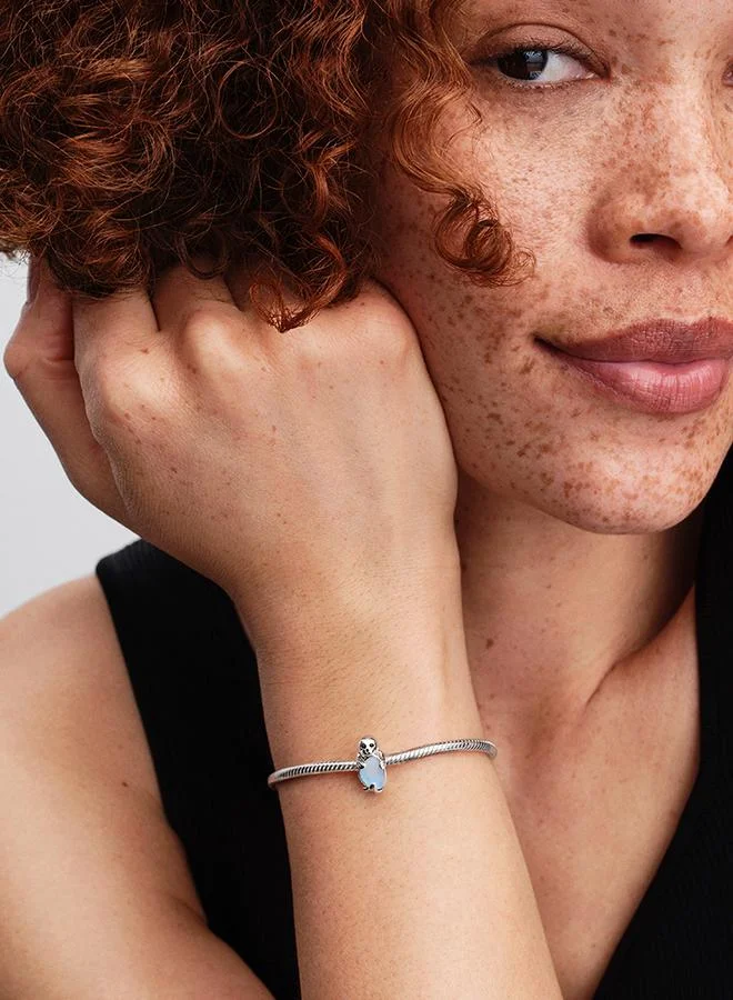 PANDORA  Seal Charm for Women | Best Price UAE