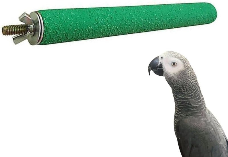 Petsary Bird Claw Grinding Perch for Parrots | Wood Single Head Screw Stand Pole | Natural Parakeet Perch Toy Platform Grinding Stick | Cage Accessories for Cockatiel Lovebird Budgies | 20cm Green - Image 1