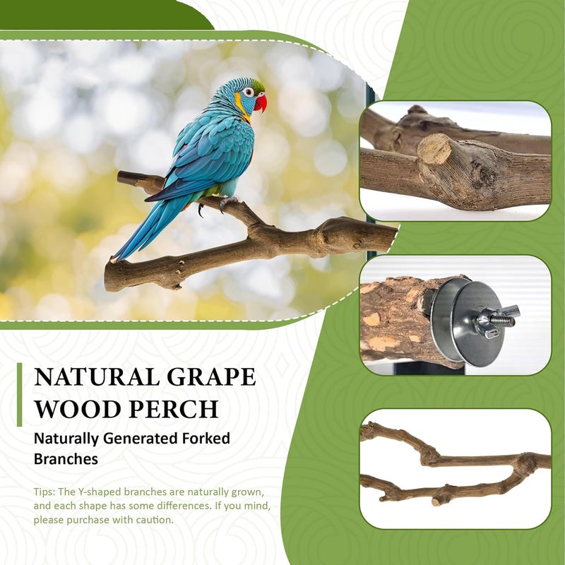 CAMATET 8pcs Natural Bird Perches for Cage, 5.9“ Small Wood Bird Perch for Parakeet/Cockatiel, Bird Cage Stick, Bird Branches for Cages, Birdcage Accessories for Parrot Conure - Image 2