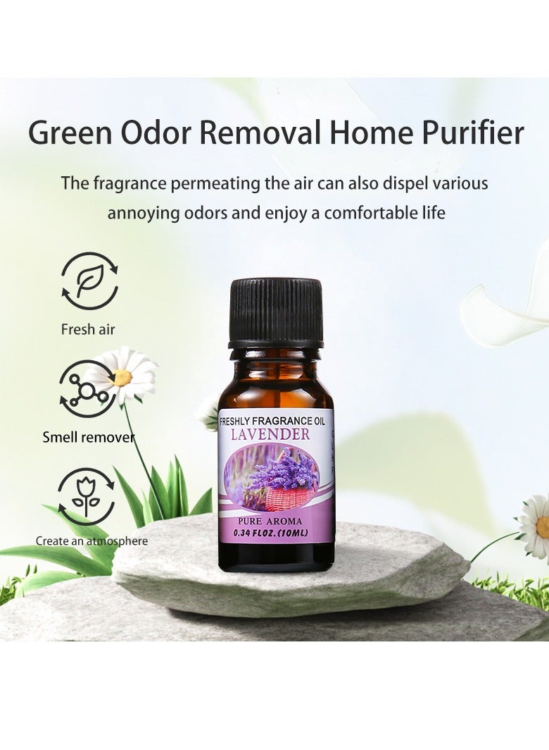 6-piece aromatherapy oil gift box set, transparent 10ml  - Image 3