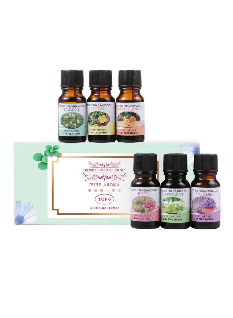 6-piece aromatherapy oil gift box set, transparent 10ml  - Image 4