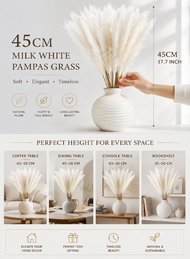 10-piece set of off-white double-pronged pampas grass imitation reeds, artificial bulrush decoration suitable for any scene arrangement - Image 4