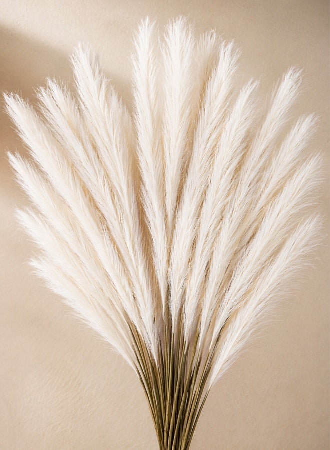 10-piece set of off-white double-pronged pampas grass imitation reeds, artificial bulrush decoration suitable for any scene arrangement - Image 3