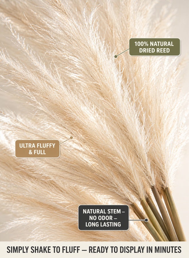10-piece set of off-white double-pronged pampas grass imitation reeds, artificial bulrush decoration suitable for any scene arrangement - Image 2