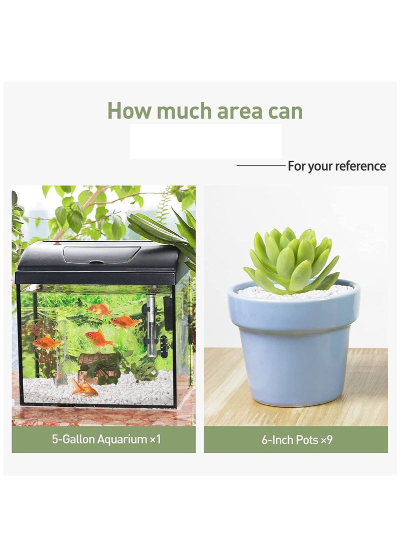 حصى زينة بيضاء صخور نهر طبيعية للنباتات، ديكور منزلي DIY، حصى حوض السمك، حشوات مزهريات، حديقة خيالية، أحجار تنسيق الحدائق الخارجية 3-5 مم (5 كجم) - Image 4