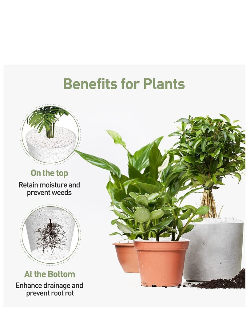 حصى زينة بيضاء صخور نهر طبيعية للنباتات، ديكور منزلي DIY، حصى حوض السمك، حشوات مزهريات، حديقة خيالية، أحجار تنسيق الحدائق الخارجية 3-5 مم (5 كجم) - Image 2