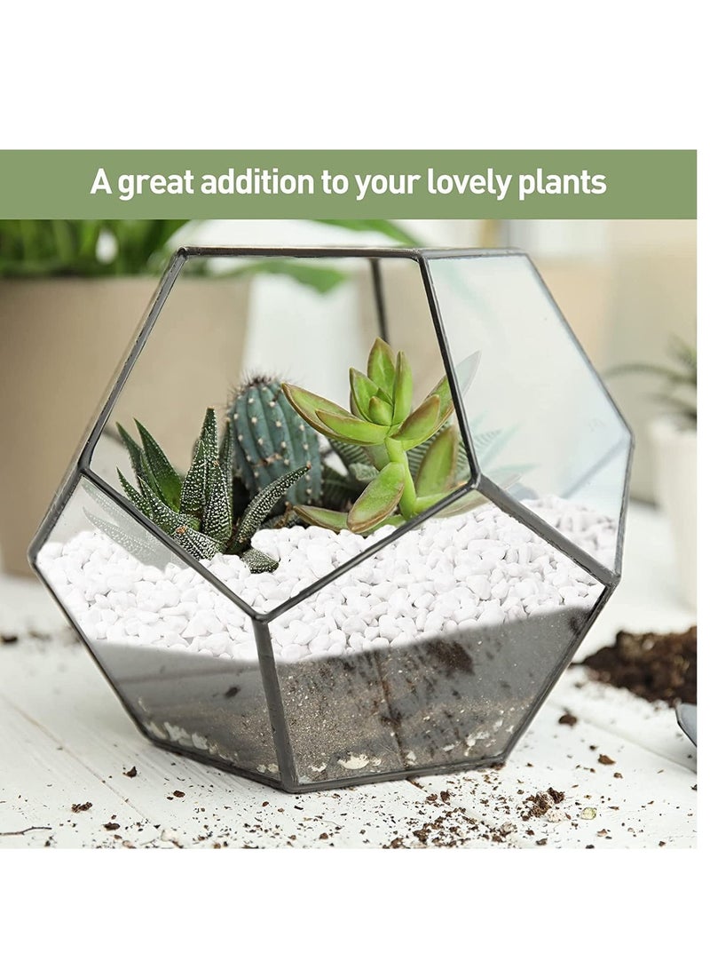 حصى زينة بيضاء صخور نهر طبيعية للنباتات، ديكور منزلي DIY، حصى حوض السمك، حشوات مزهريات، حديقة خيالية، أحجار تنسيق الحدائق الخارجية 3-5 مم (5 كجم) - Image 5