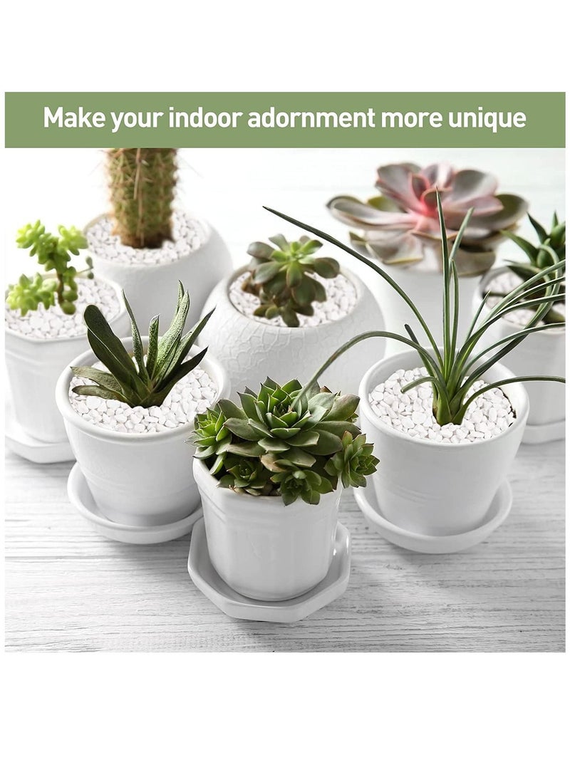 حصى زينة بيضاء صخور نهر طبيعية للنباتات، ديكور منزلي DIY، حصى حوض السمك، حشوات مزهريات، حديقة خيالية، أحجار تنسيق الحدائق الخارجية 3-5 مم (5 كجم) - Image 3