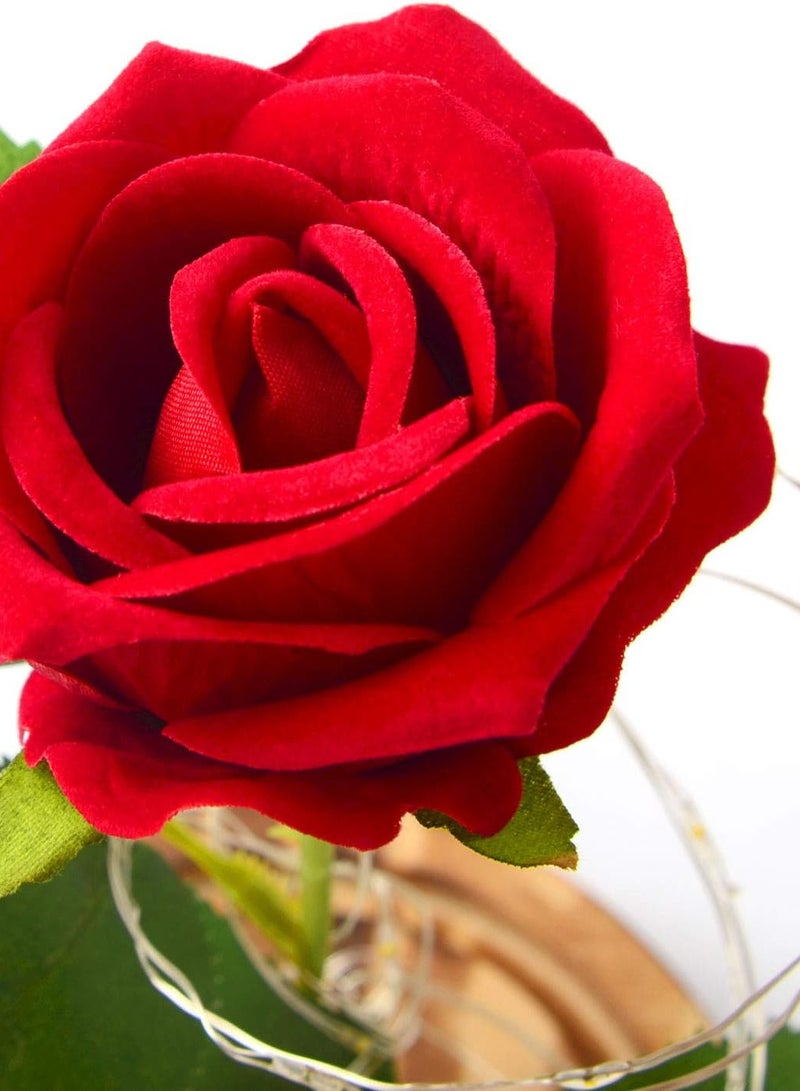 وردة في قبة زجاجية، وردة حمراء أبدية مع ضوء LED، زهرة صناعية تدوم إلى الأبد، عيد ميلاد الأم، زفاف لها - Image 4
