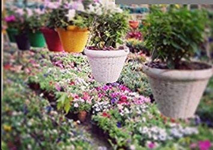 Bianco Multicolor Juhi Round Hanging Pot, Beautiful Hanging Flower Pots, Hanging Planter, Plant Containers Set, Plastic Hanging Pots Set for Garden, Balcony (Pack of 4) (9 Inch) - Image 5