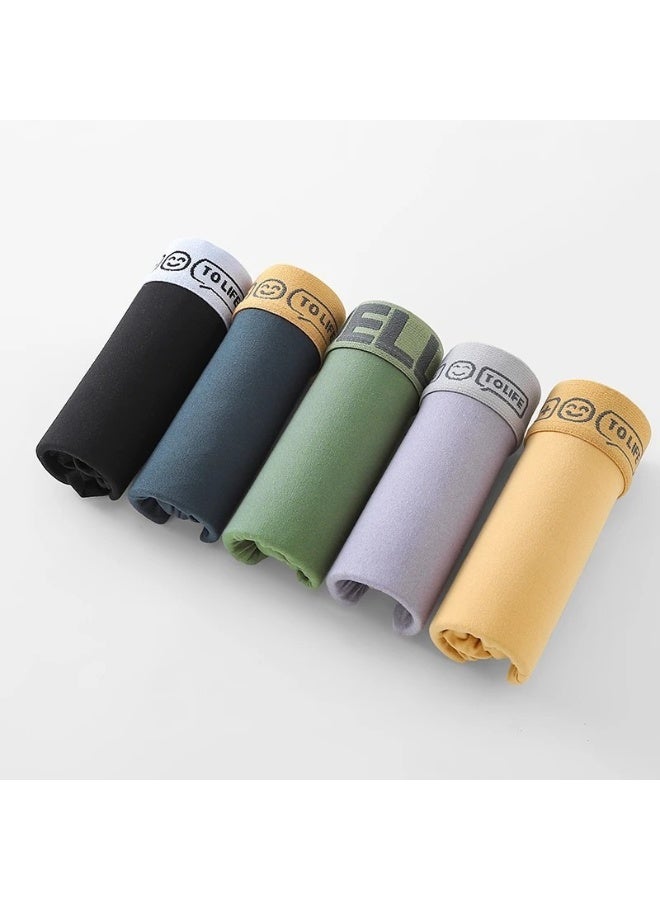 مجموعة من 5 قطع من ملابس داخلية بوكسر وشورتات رجالية من Hello Sort، مصنوعة من القطن المطاطي القابل للتنفس والماص للرطوبة، بتصميم عصري منخفض الارتفاع - Image 3