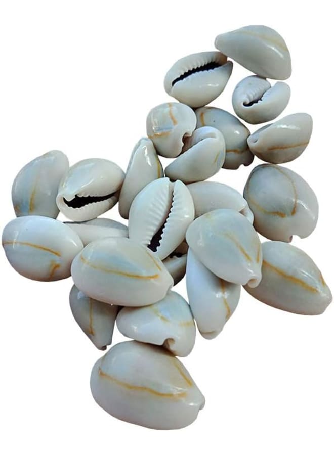 100 Pcs Natural Cowrie Shells Beads Oval Beach Seashells African Shells for Hair Jewelry Making DIY Craft - Image 2