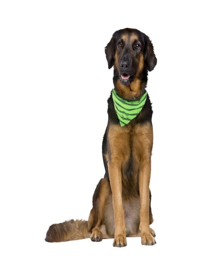 Trixie:- Collar with Neckerchief for Dog | Adjustable Nylon Dog Collar with Plastic Buckle for Closure | with Removable Polyester Neckerchief | Great for All Breeds - (25-31 cm/15 mm XS - S) Apple - Image 5