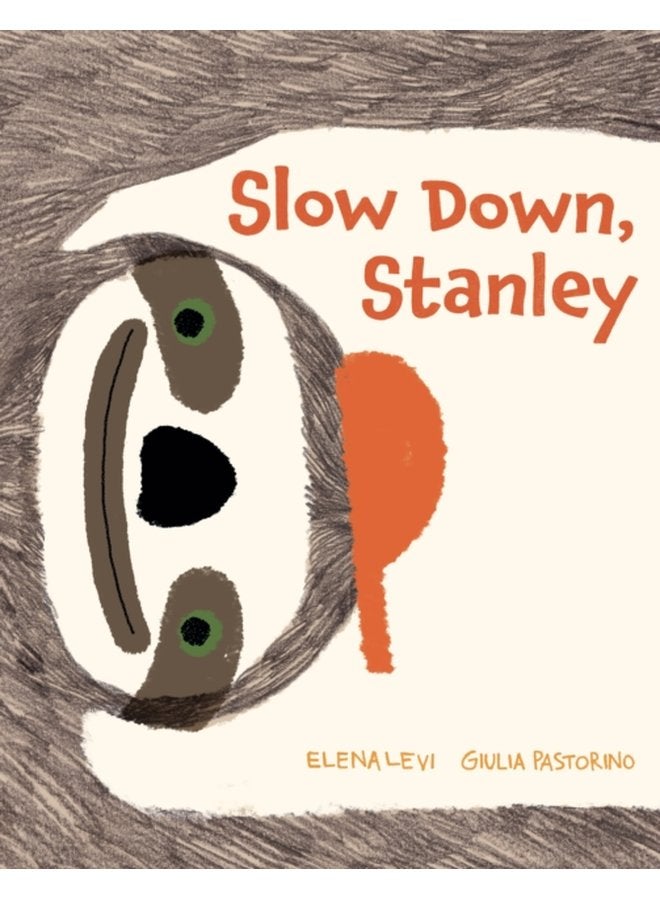 Slow Down Stanley - Hardback