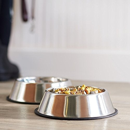 Royale Dog Stainless Steel Dog Feeding Bowl - 700 ml (Buy 1 Get 1 Free) - Image 2