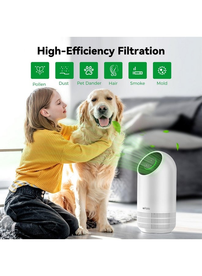 Afloia Washable & Removable Pet Replacement Filter For Fillo/Fillo With Essential Oil Diffuser/Allo/Halo Air Purifiers  - Image 3