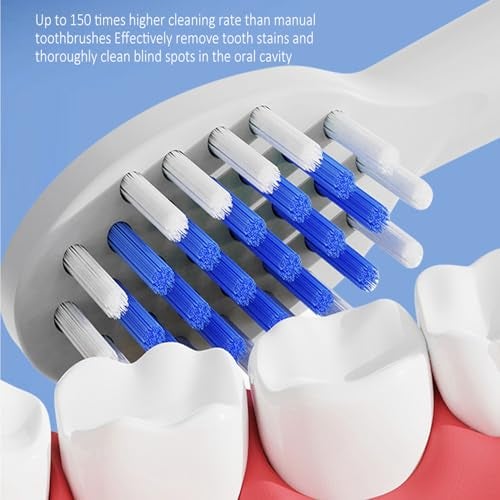 US1984 Sonic Electric Toothbrush for Kids with 4 Modes, 3 Brush Heads & Type-C Rechargeable, Ultra Soft Nylon Bristles, IPX7 Waterproof, Electric Power Tooth brush (White) - Image 5