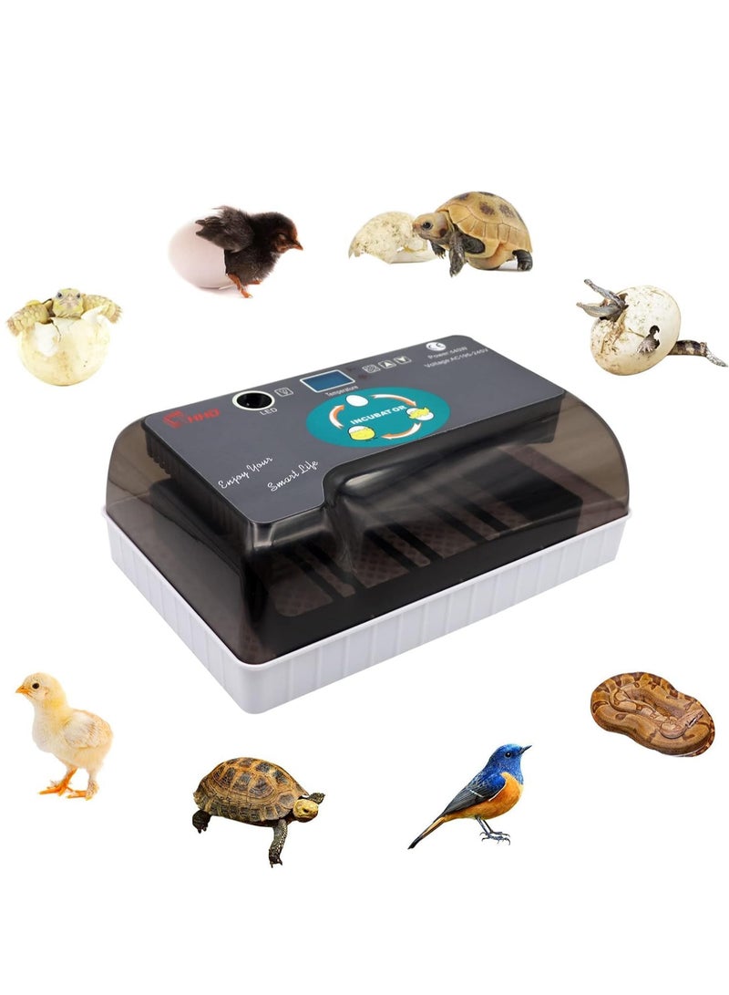 Generic Egg Incubator, 12 Tortoise Egg Incubator, Reptile Hatcher, Thermostatic Tortoise Brooder, with Auto Egg Turner Visible Lid Digital LED Display, for Egg Incubation Beginner Child Education Gift  - Image 1