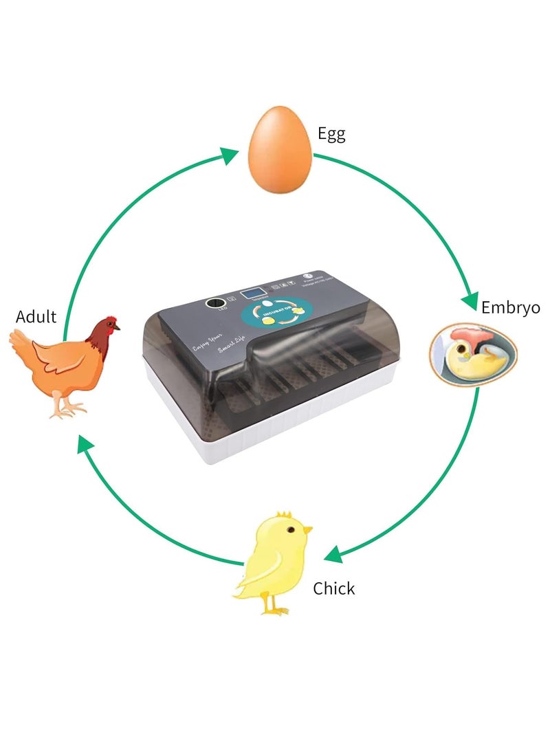 Generic Egg Incubator, 12 Tortoise Egg Incubator, Reptile Hatcher, Thermostatic Tortoise Brooder, with Auto Egg Turner Visible Lid Digital LED Display, for Egg Incubation Beginner Child Education Gift  - Image 2
