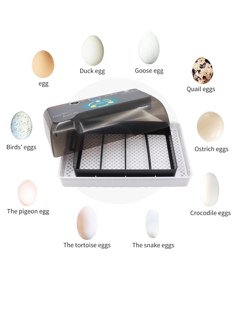 Generic Egg Incubator, 12 Tortoise Egg Incubator, Reptile Hatcher, Thermostatic Tortoise Brooder, with Auto Egg Turner Visible Lid Digital LED Display, for Egg Incubation Beginner Child Education Gift  - Image 3