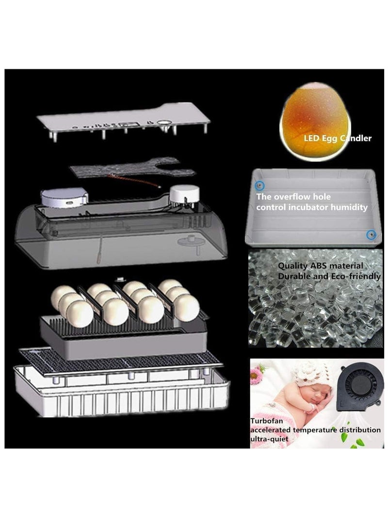 Generic Egg Incubator, 12 Tortoise Egg Incubator, Reptile Hatcher, Thermostatic Tortoise Brooder, with Auto Egg Turner Visible Lid Digital LED Display, for Egg Incubation Beginner Child Education Gift  - Image 4