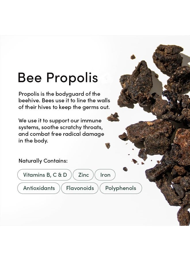 Beekeeper's Naturals - Kids Propolis Throat Spray 95% Bee Propolis Extract - Natural Immune Support & Sore Throat Relief, Antioxidants & Gluten-Free, 1.06 oz (Pack of 2) - Image 1