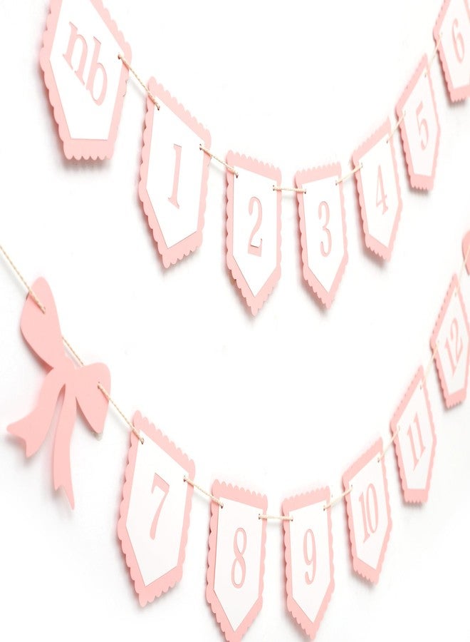 Agkvw Pink Bow Monthly Milestones Photo Banner - Baby Girls Newborn to 12 Months Photo Display, 1st Birthday Photo Banner for Baby Girls, Bow 1st Birthday Decorations - Image 5