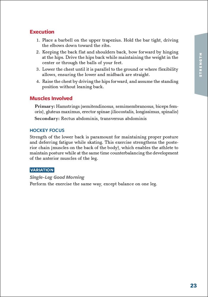 Hockey Anatomy - Image 4