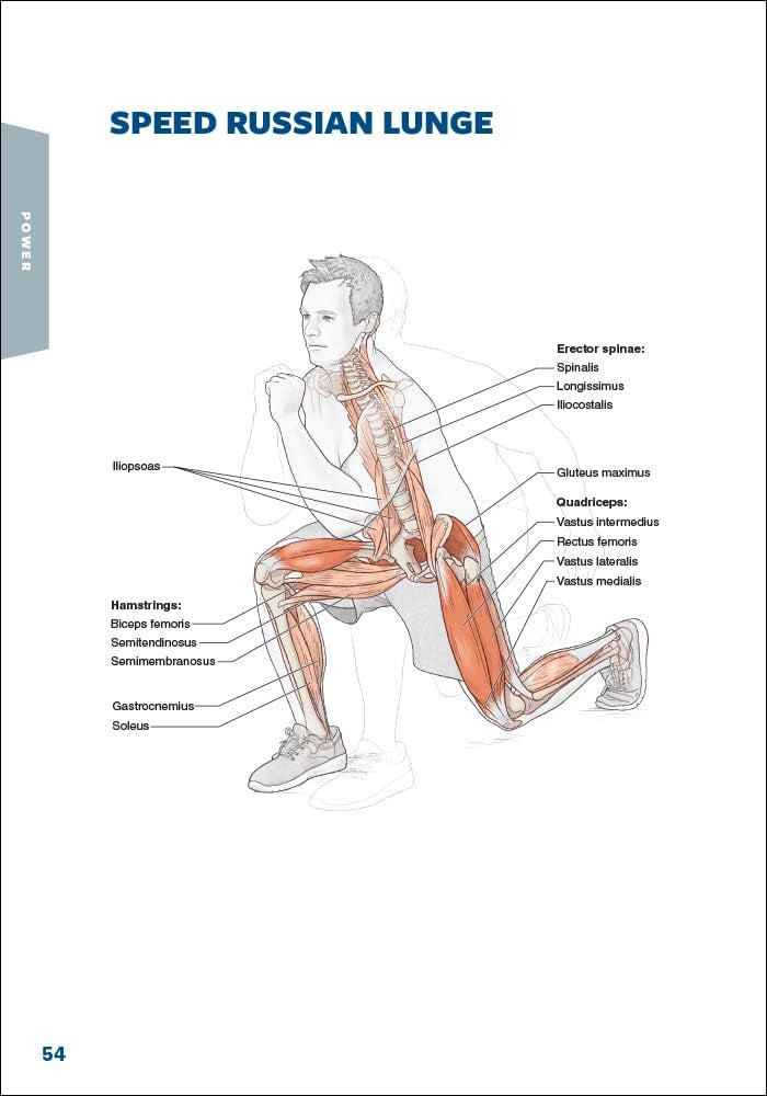 Hockey Anatomy - Image 5