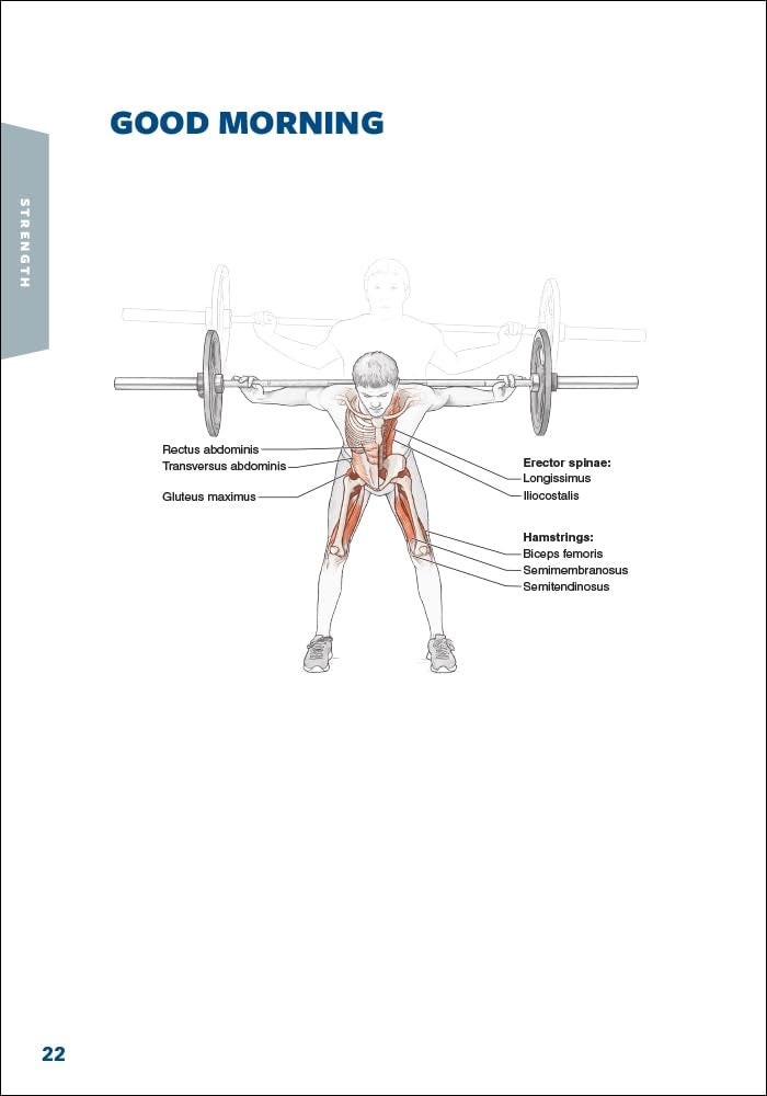 Hockey Anatomy - Image 3